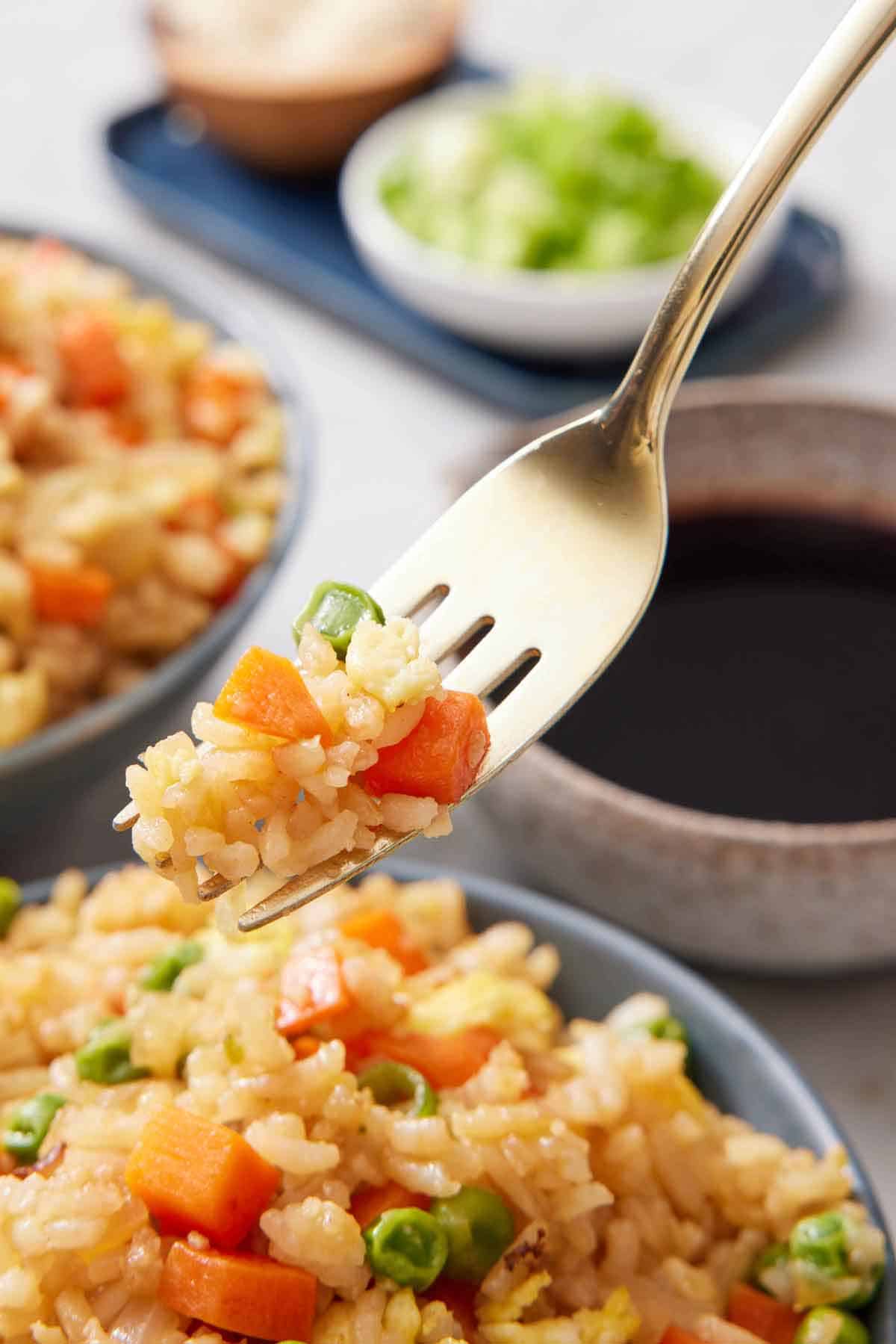 A fork lifting up fried rice from a bowl. Sauce and garnishes out of focus in the background.