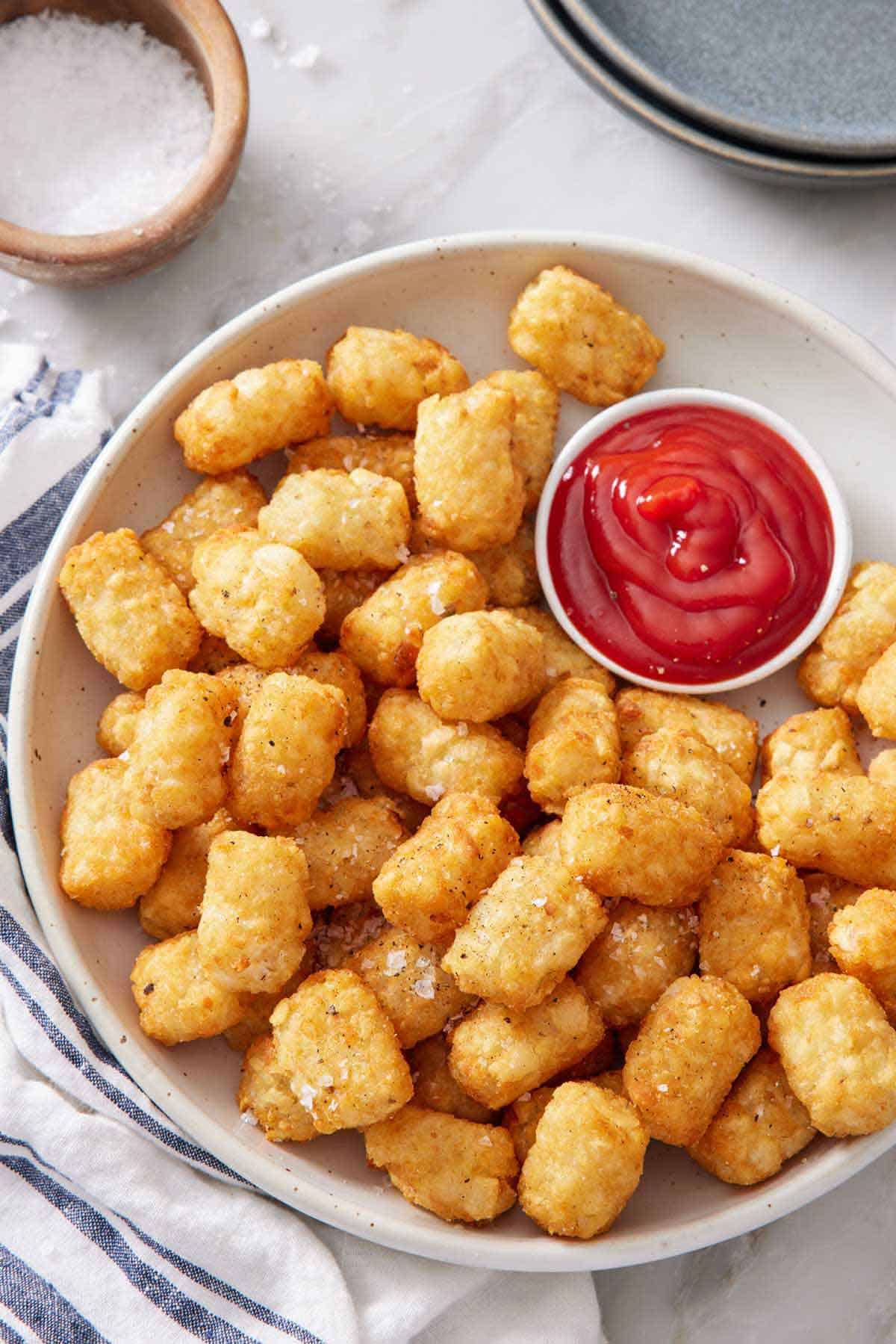 Overhead view of a plate of air fryer tater tots with a bowl of ketchup. A bowl of salt on the side.