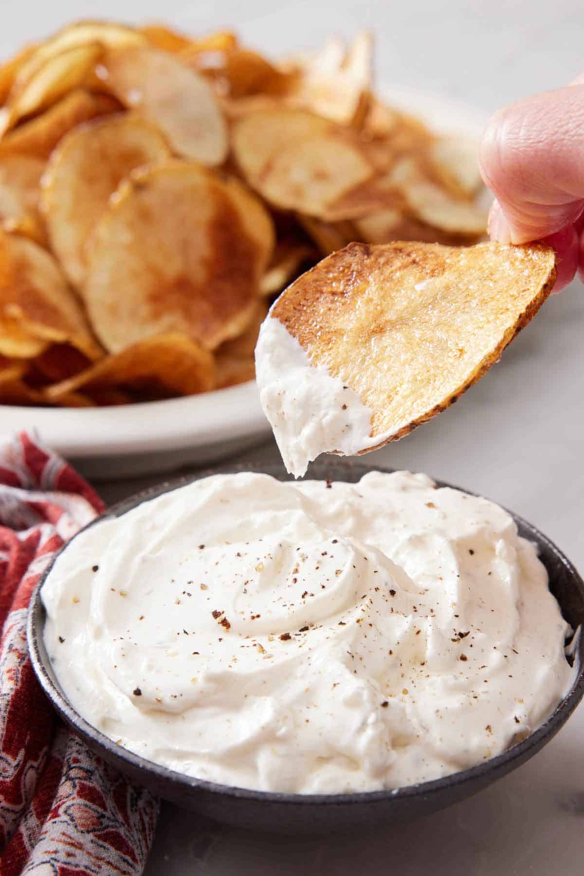 A homemade potato chip dipped into a creamy white dip and lifted. More chips in the background in a platter.