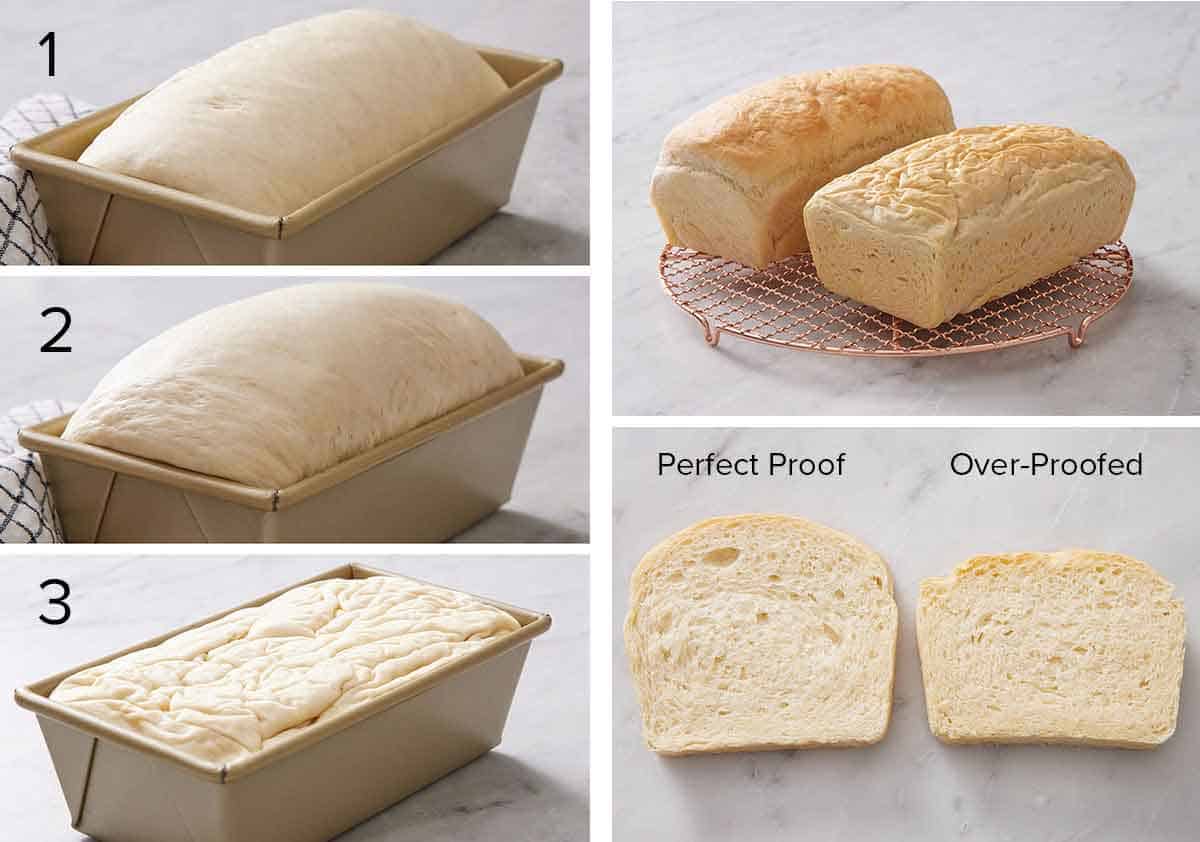 Set of five photos showing how bread dough looks when proofed and when over proofed.