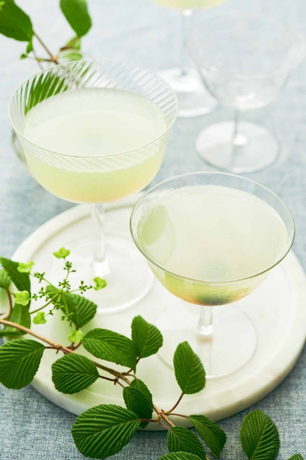 A platter with two glasses of Last Word Cocktail. Greenery scattered around.