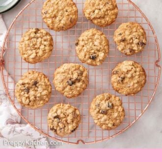 Pinterest graphic of an overhead view of oatmeal cookies on a cooling rack.