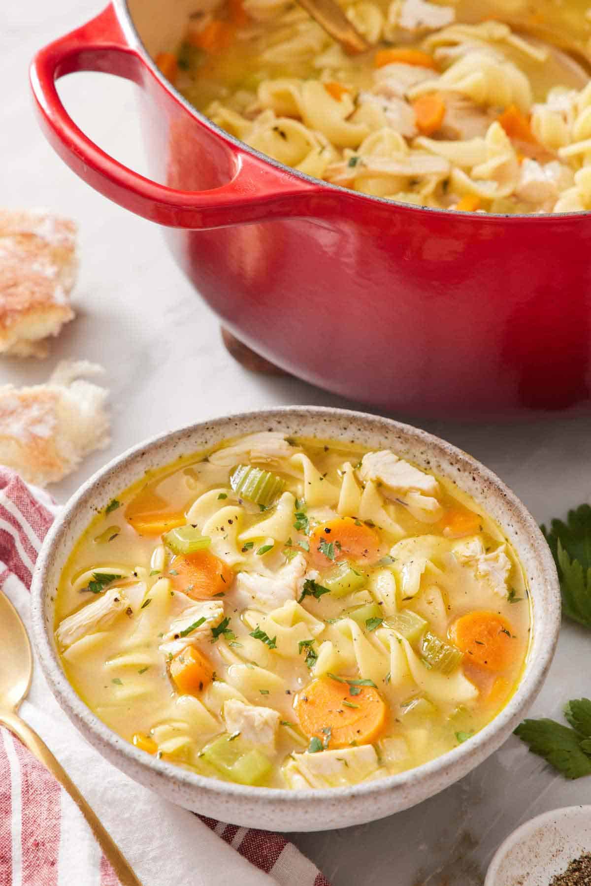 A bowl of turkey noodle soup in front of a red pot of more soup.