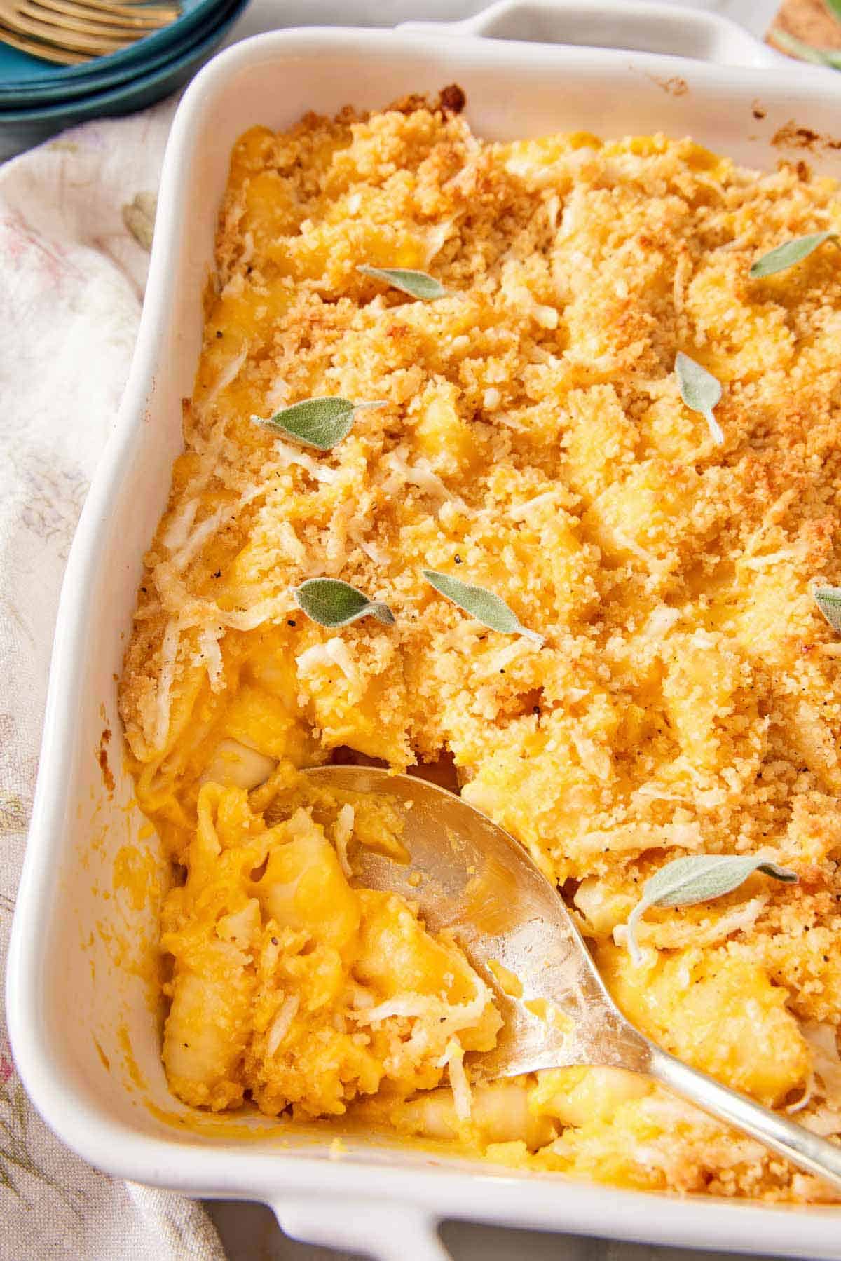 A close up view of a baking dish of butternut squash mac and cheese with a serving spoon scooping some out.