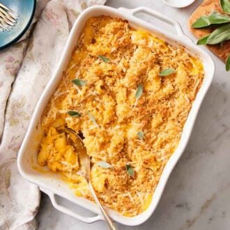 An overhead view of a baking dish of butternut squash mac and cheese with a serving spoon scooping some out. Fresh sage, a napkin, bowls, and forks on the side.