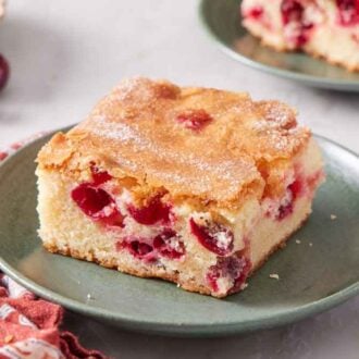 A plate with a piece of cranberry cake. Fresh cranberries and a second plate of cake in the background.