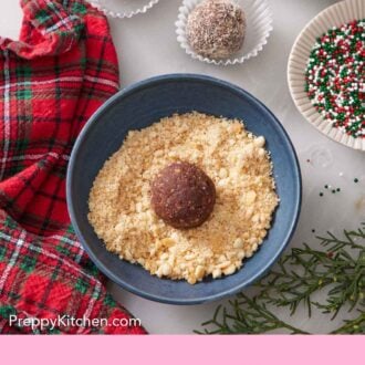 Pinterest graphic of a bowl with finely chopped nuts with a rum ball in the middle.