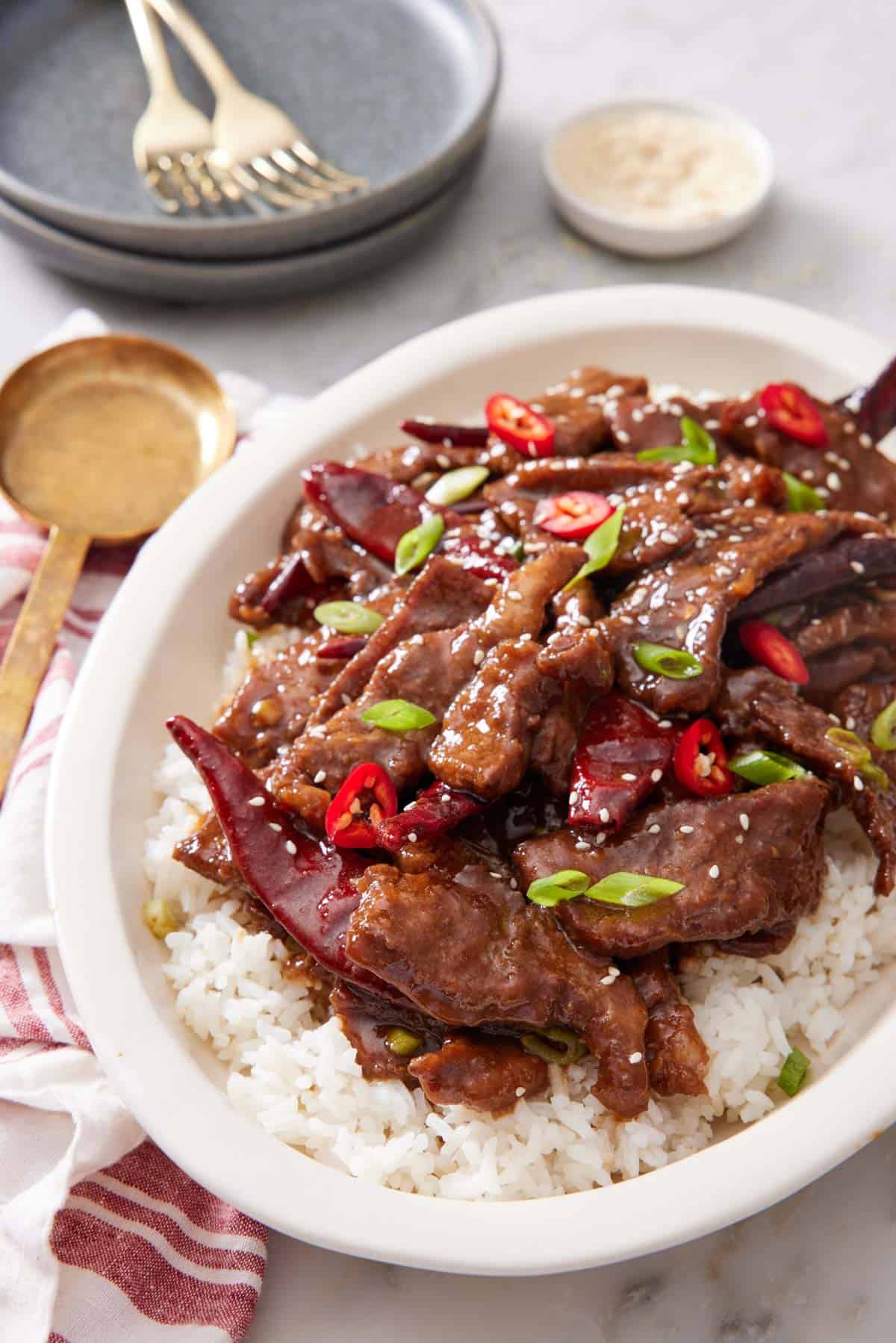 A platter of Mongolian beef over a bed of rice. Green onions and chili garnished on top.