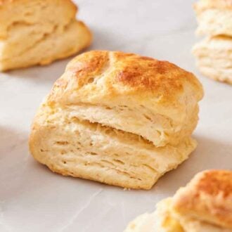 Sourdough biscuits on a marble surface.