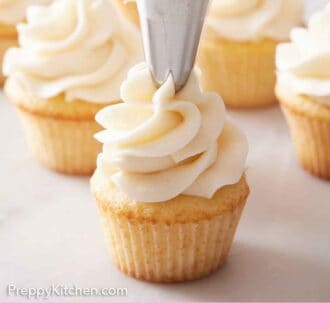 Pinterest graphic of frosting piped on top of a mini cupcake with more mini cupcakes in the background.