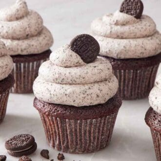 Multiple chocolate cupcakes topped with Oreo frosting with three with mini Oreos on top.