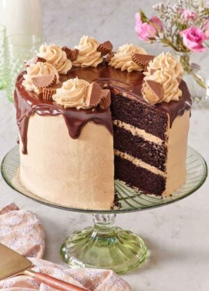 A chocolate peanut butter cake on a green cake stand with a slice cut out. Flowers in the background and a cake spatula in front.