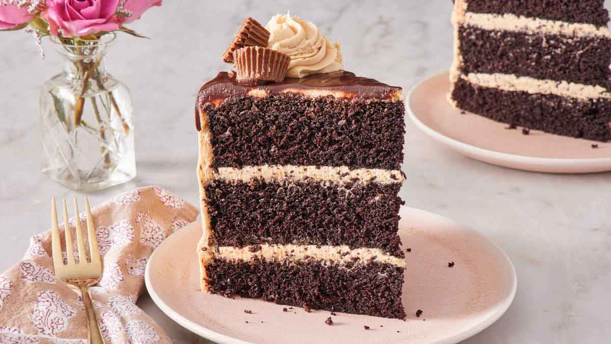 Chocolate Peanut Butter Cake Recipe