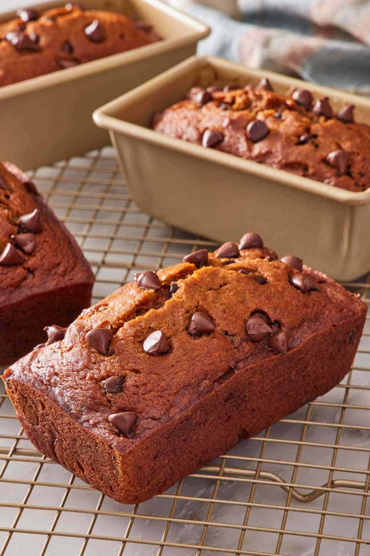 Chocolate chip pumpkin bread mini loaves on a wire cooling rack.