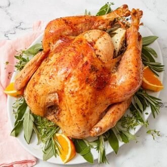 A roasted turkey on a white platter with fresh herbs and orange slices.