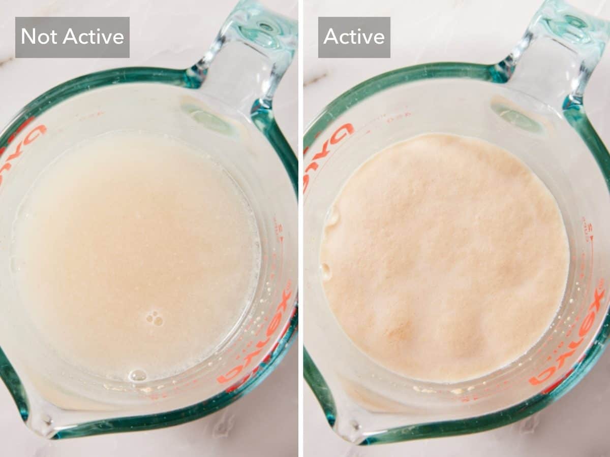 Comparison image showing inactive and active yeast after being combined with water and sugar.