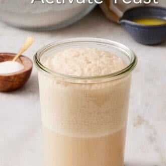 Pinterest graphic showing a glass jar of bloomed yeast.