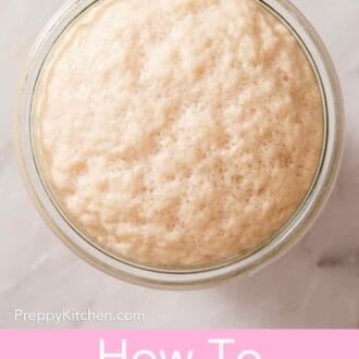 Pinterest graphic showing an overhead shot of bloomed yeast with a foamy top in a glass jar.