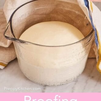 Pinterest graphic showing a tea towel lifted off a jug containing dough that's proofing.