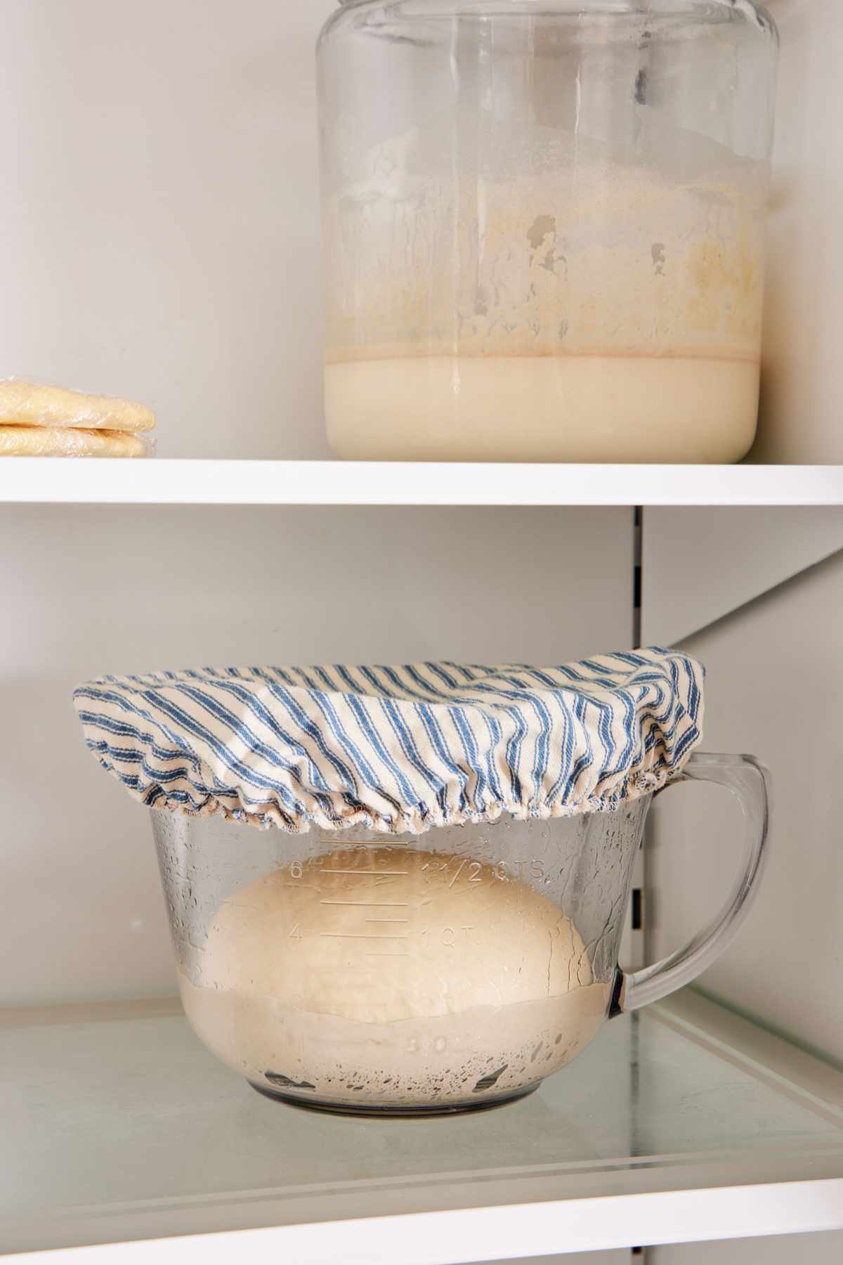 A covered jar of bread dough in the refrigerator, with more chilled baking items on the shelf above.