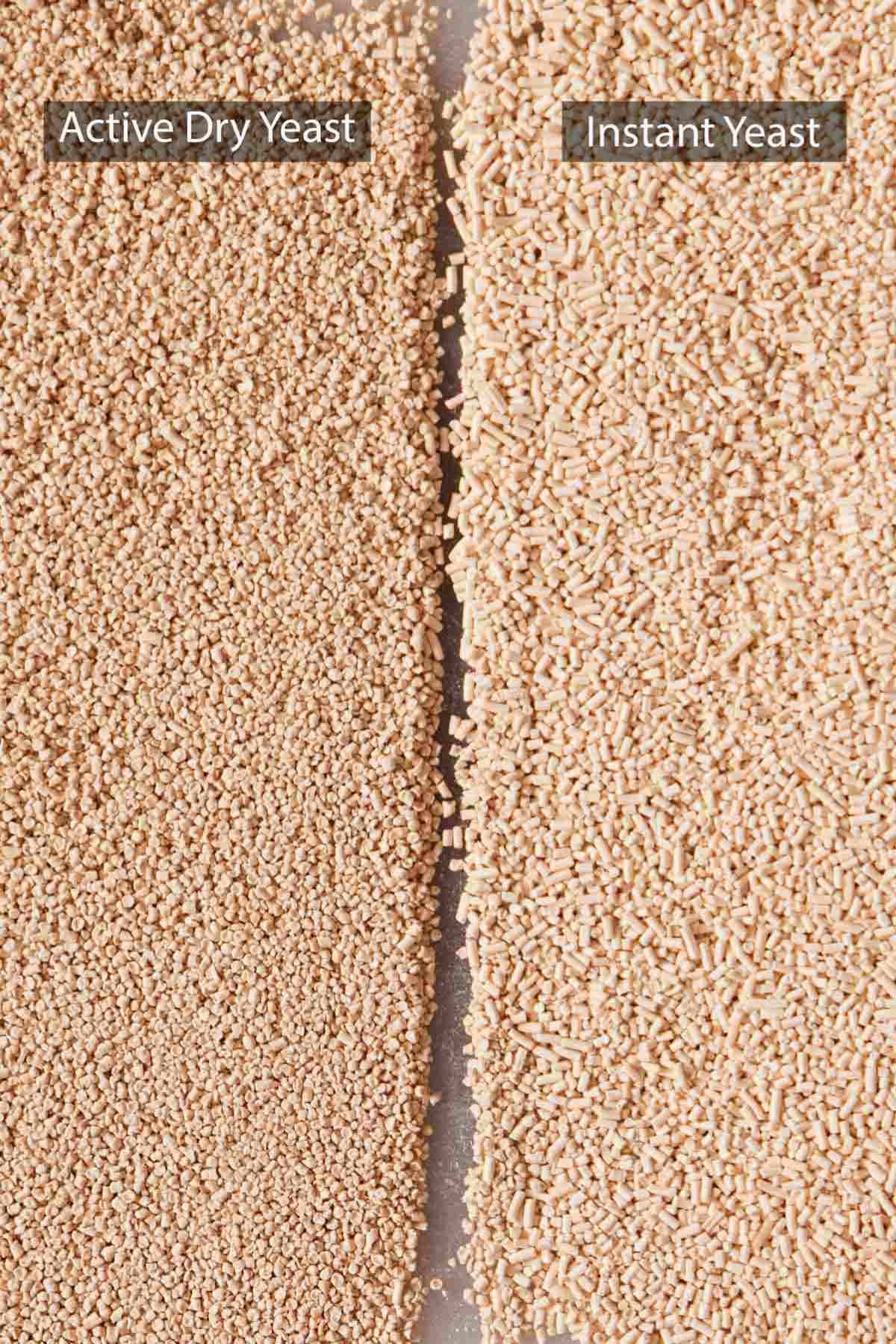 Active dry yeast and instant yeast granules side by side to show the visual difference between the two.