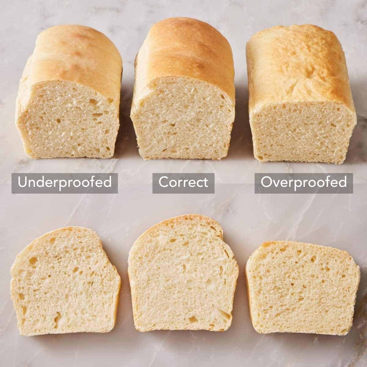 Three loaves of homemade bread side by side, with slices cut out below them, to show underproofed, properly proofed, and overproofed bread.