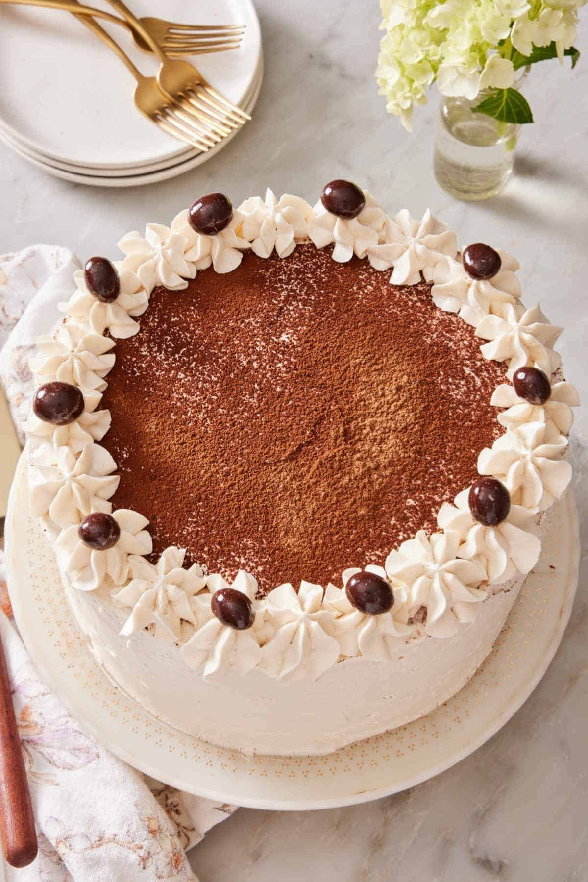 Overhead shot of a whole tiramisu cake with chocolate-covered espresso beans.