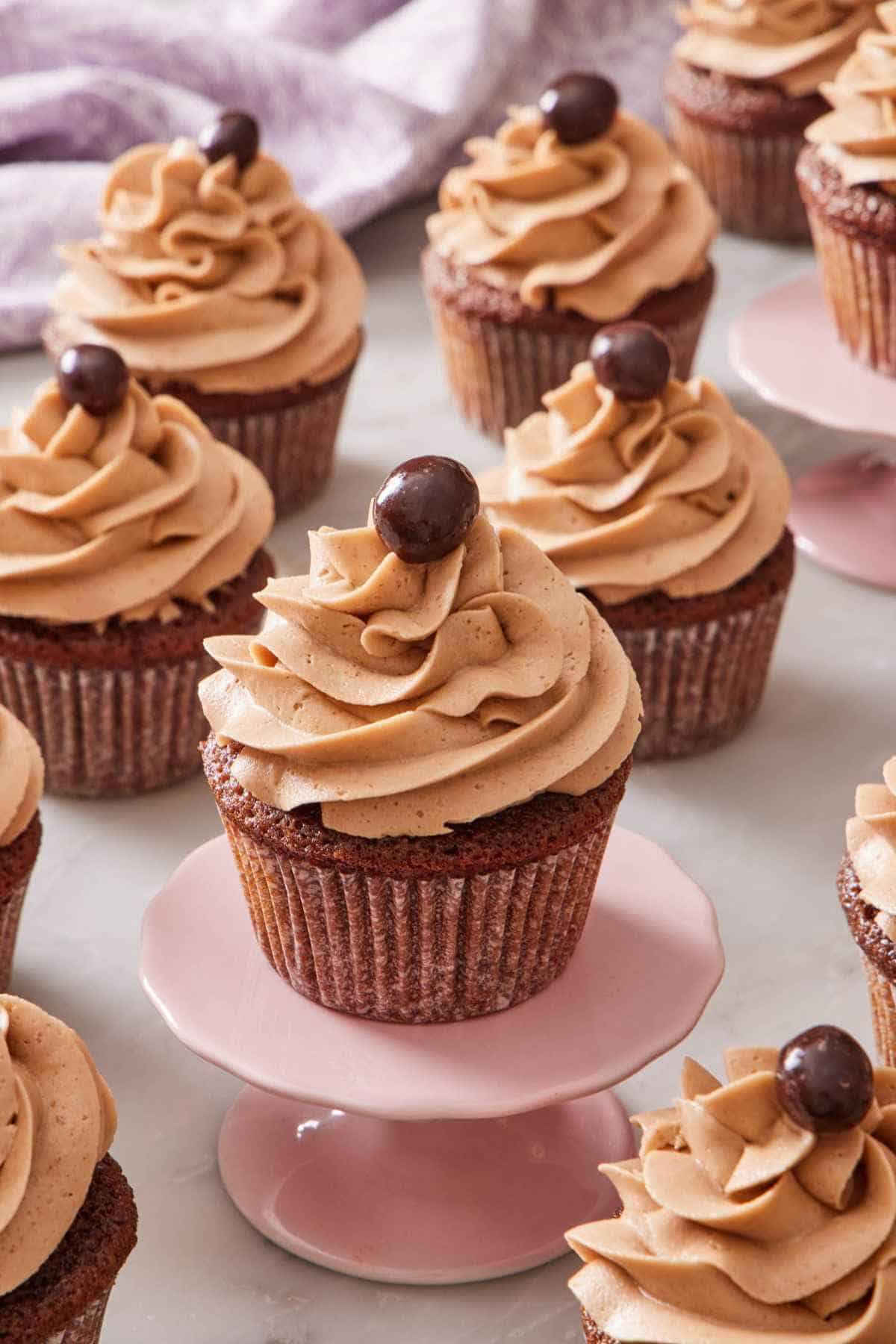 A mocha cupcake on a pink mini cake stand with more cupcakes on the counter around it.