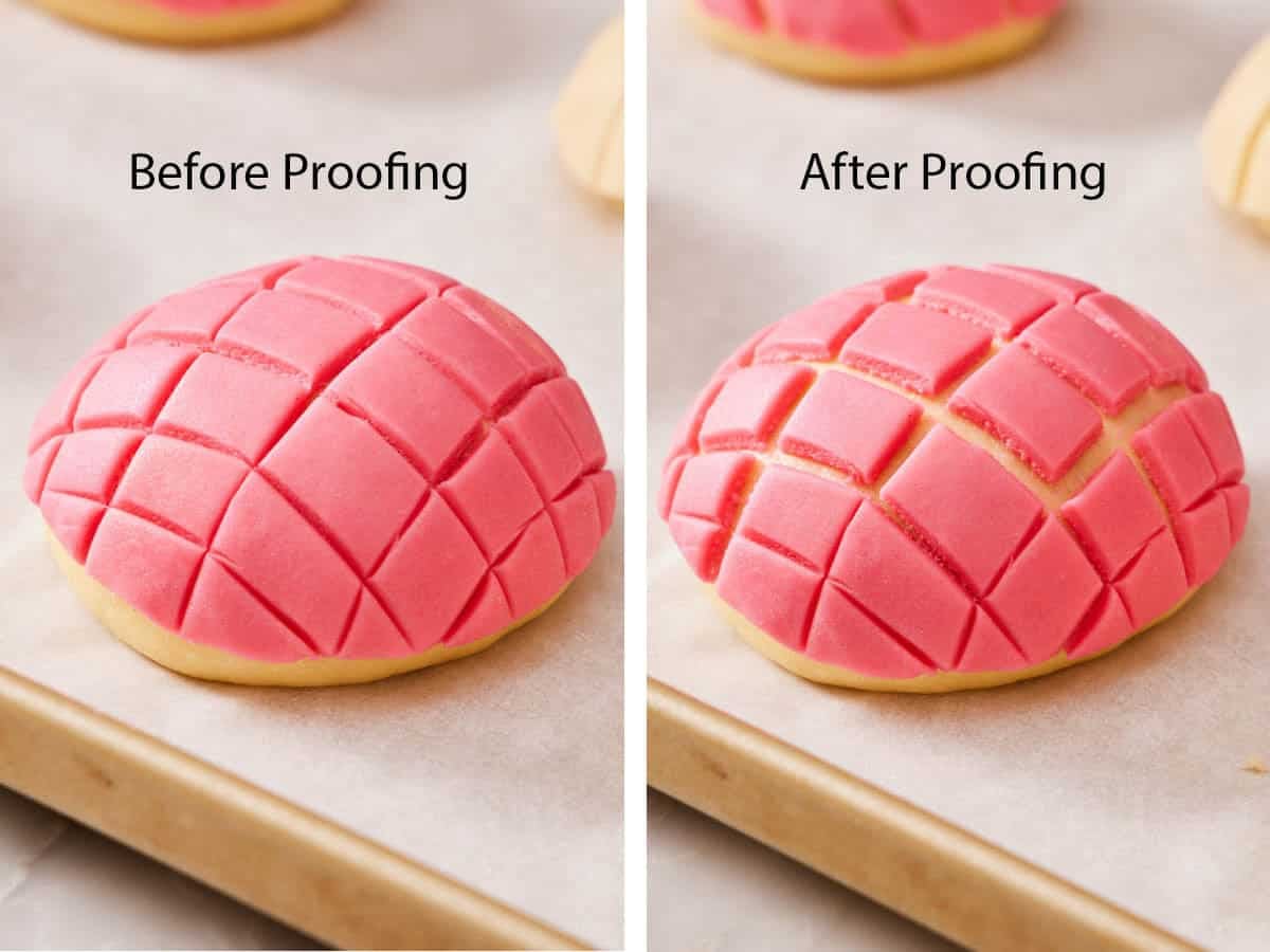 Set of two images showing conchas before and after proofing.