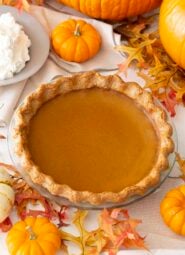 A pumpkin pie next to lots of mini pumpkins and a bowl of whipped cream.